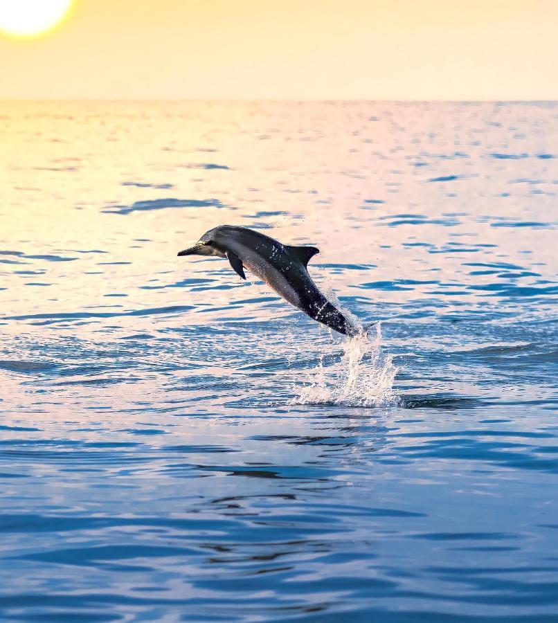 Empyrean Stay, Maldives Thulusdhoo Ngoại thất bức ảnh